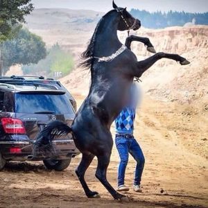 Meet your Posher, Javier